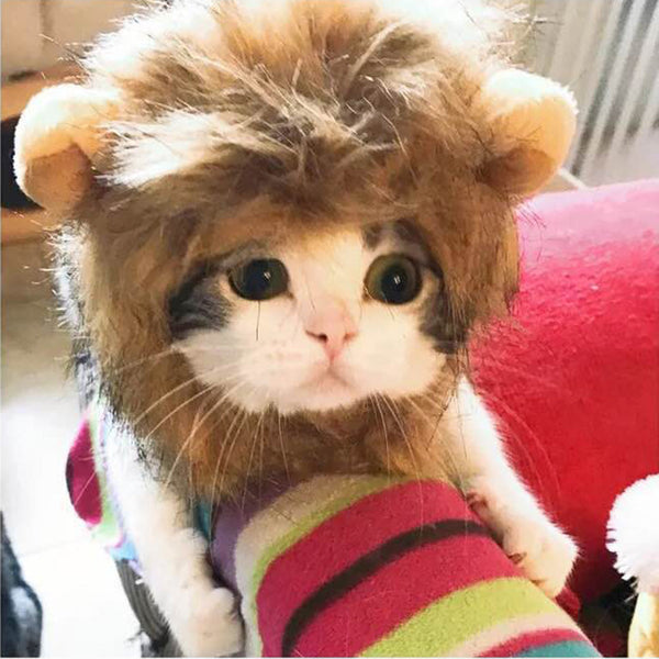 Cat Wig Cute Lion Headgear Pet Hat