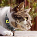 Best Cat GPS Tracker Locator Device For Pets
