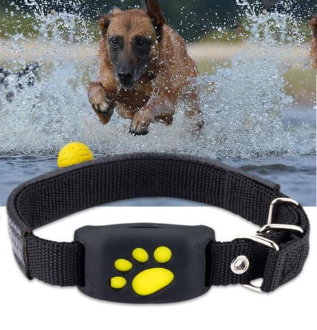 Best Cat GPS Tracker Locator Device For Pets
