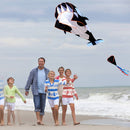 3D Soft kite Whale Dolphin Frameless Flying Kite Outdoor Sports Toy
