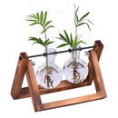 Wooden Terrarium Desk Planter
