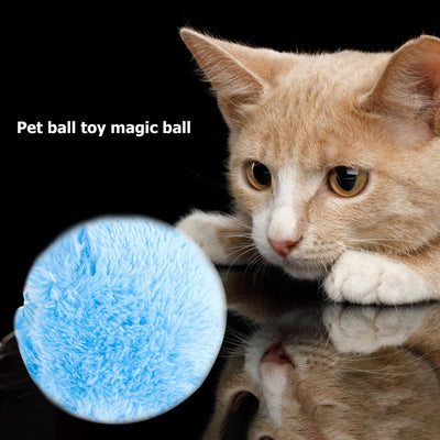 5pcs/set Magic Roller Ball Activation Automatic Ball for Pets