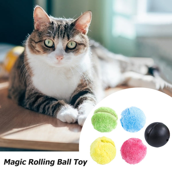 5pcs/set Magic Roller Ball Activation Automatic Ball for Pets