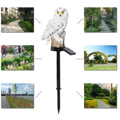 Waterproof IP65 Solar Garden Lights Owl SquirrelOrnament Animal Bird Outdoor LED Path Lawn Yard Garden Lamps Animal Decor