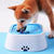 Anti-Spill Pet Water Bowl