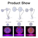 LED Grow Plant Light Lamp