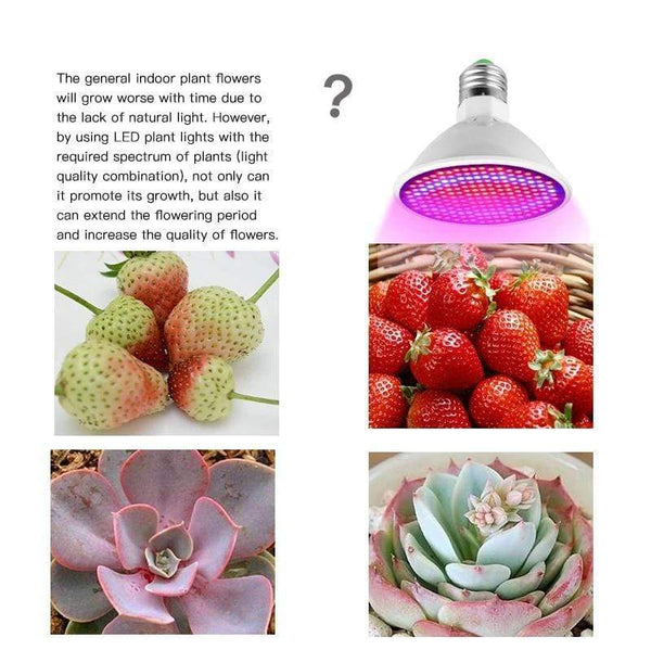 LED Grow Plant Light Lamp