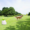 Automatic Tennis Ball Launcher, Dog Training Toy