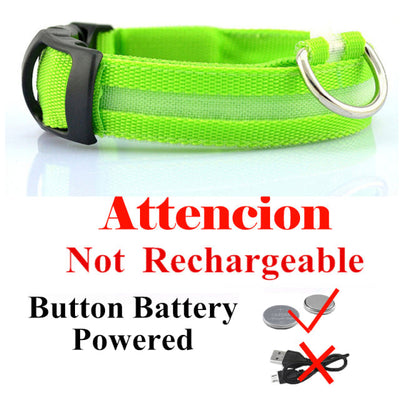 USB Rechargeable Dog LED Glowing Collar