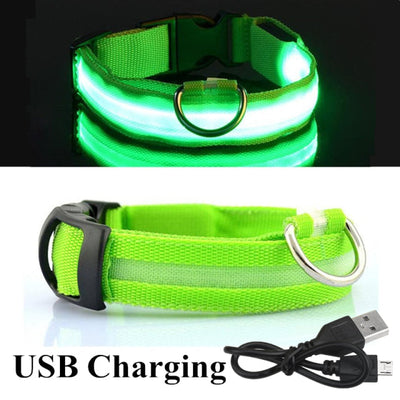 USB Rechargeable Dog LED Glowing Collar