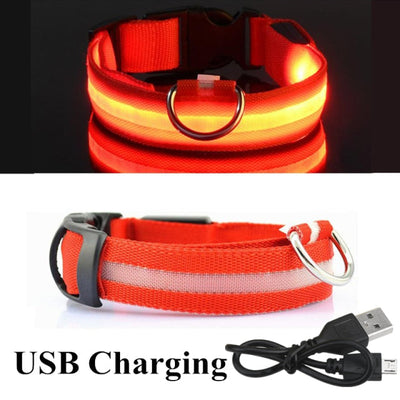 USB Rechargeable Dog LED Glowing Collar