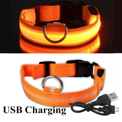 USB Rechargeable Dog LED Glowing Collar