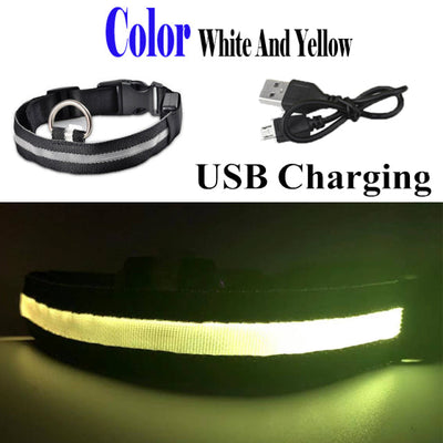 USB Rechargeable Dog LED Glowing Collar