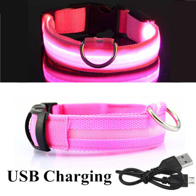 USB Rechargeable Dog LED Glowing Collar