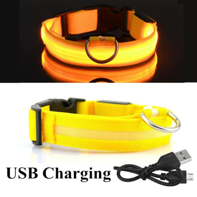 USB Rechargeable Dog LED Glowing Collar