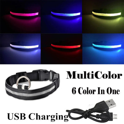 USB Rechargeable Dog LED Glowing Collar