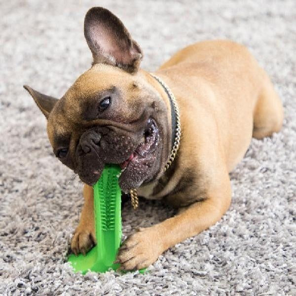 Teeth Cleaning Dog Toothbrush & Chew Toy